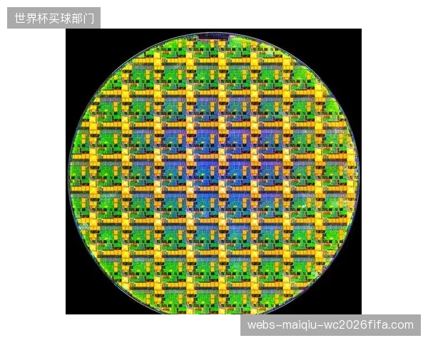 大连梭鱼湾敷设智能探针精准测算盐碱渗入阈值