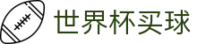 2026国际足联世界杯买球入口 · 客户端安装与软件快速登录